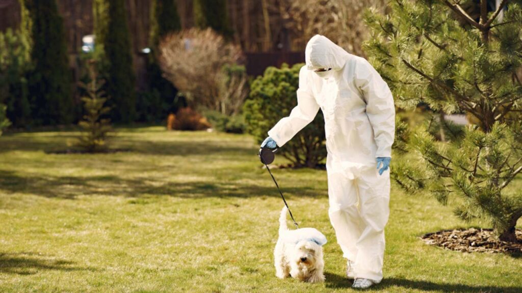 บ้านมีเด็กและสัตว์เลี้ยงเลือกกำจัดปลวกยังไง